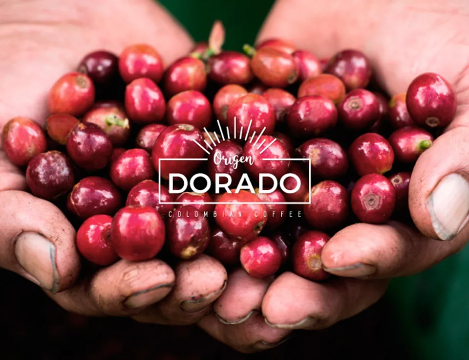 Café Origen Dorado: Café colombiano