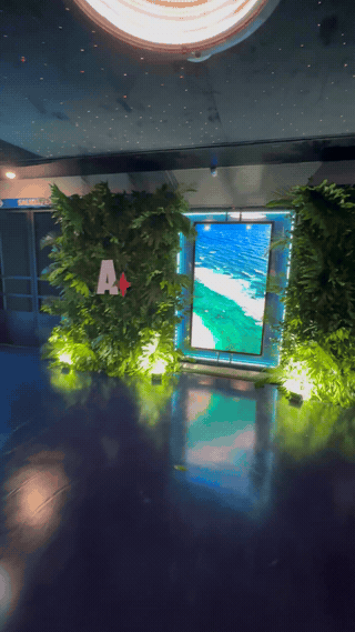 Ambientación y elementos de marca de Aruba