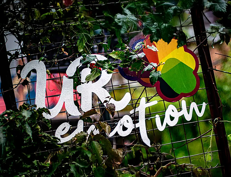 UR Emotion: Centro Rosarista de Educação Emocional